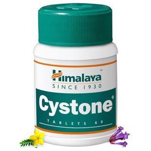 Cystone Himalaya 60 таблеток | Цистон Хімала при циститі та камінні в нирках 481616744 фото